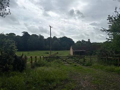 Picture 16